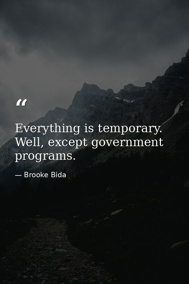 Everything is temporary. Well, except government programs. — Brooke Bida