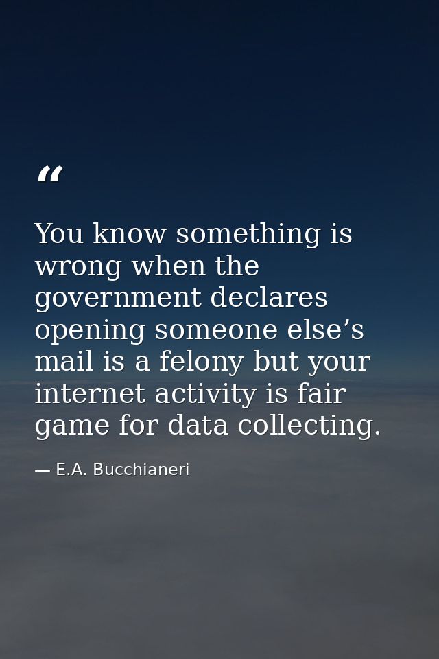You know something is wrong when the government declares opening someone else’s mail is a felony but your internet activ — E.A. Bucchianeri