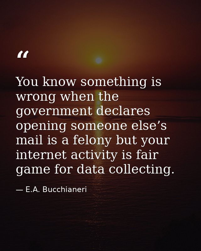 You know something is wrong when the government declares opening someone else’s mail is a felony but your internet activ — E.A. Bucchianeri