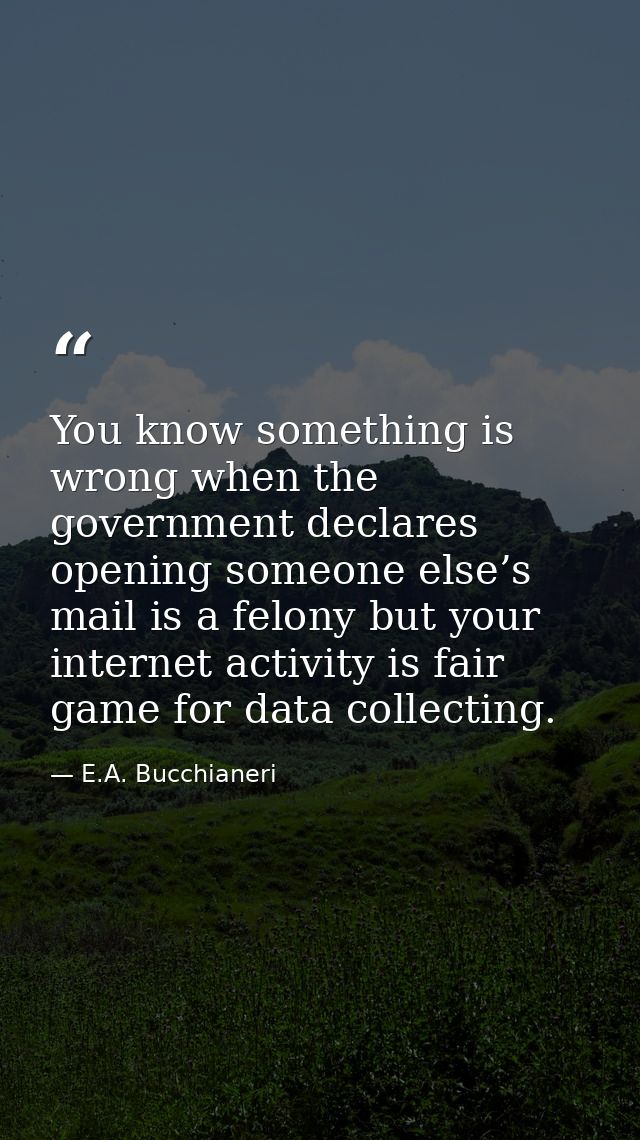 You know something is wrong when the government declares opening someone else’s mail is a felony but your internet activ — E.A. Bucchianeri