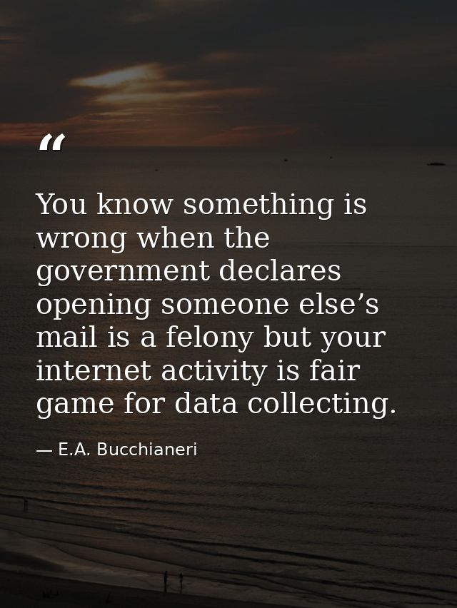 You know something is wrong when the government declares opening someone else’s mail is a felony but your internet activ — E.A. Bucchianeri