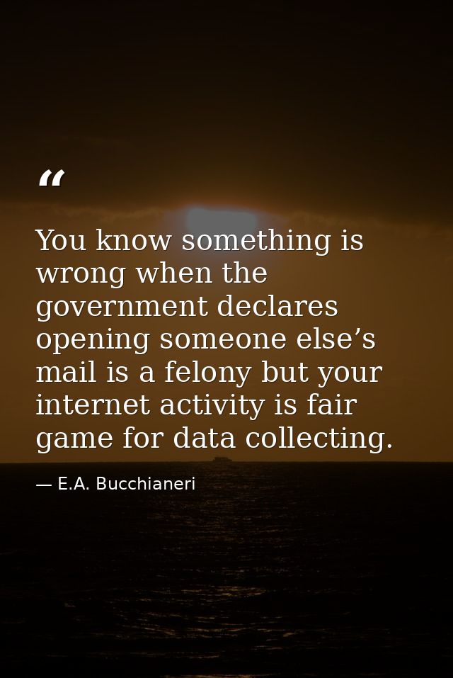 You know something is wrong when the government declares opening someone else’s mail is a felony but your internet activ — E.A. Bucchianeri