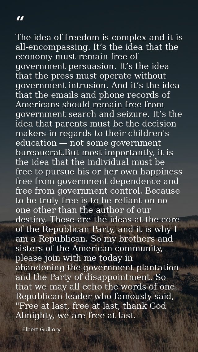 The idea of freedom is complex and it is all-encompassing. It’s the idea that the economy must remain free of government — Elbert Guillory
