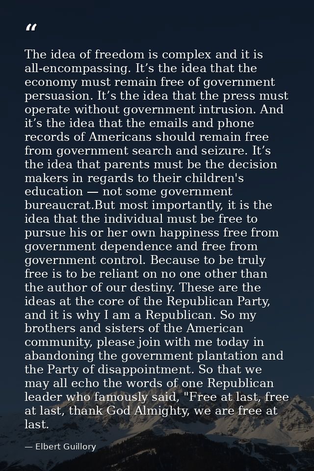The idea of freedom is complex and it is all-encompassing. It’s the idea that the economy must remain free of government — Elbert Guillory