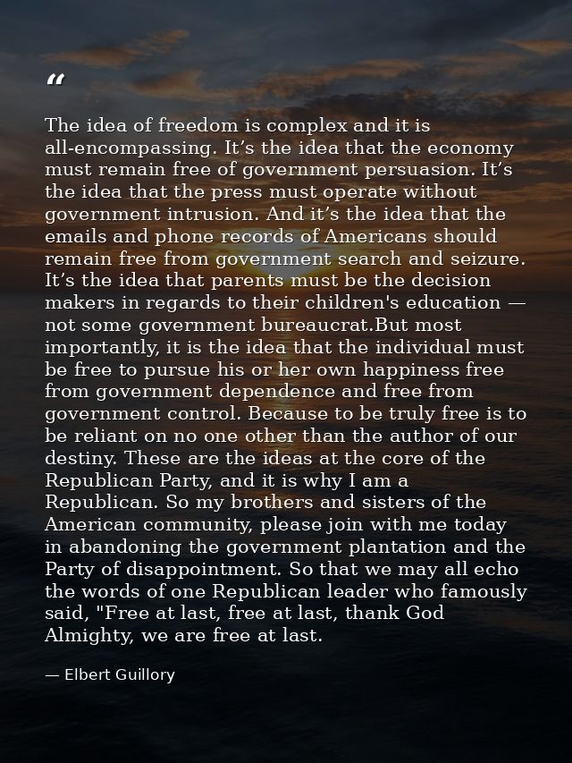 The idea of freedom is complex and it is all-encompassing. It’s the idea that the economy must remain free of government — Elbert Guillory