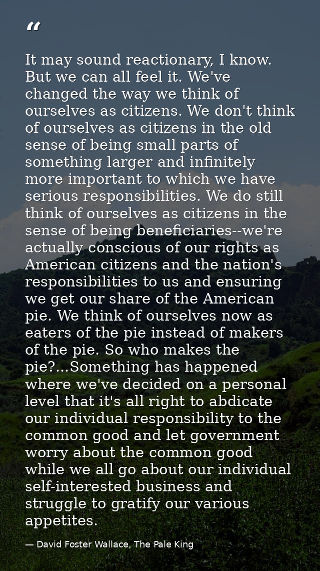 It may sound reactionary, I know. But we can all feel it. We've changed the way we think of ourselves as citizens. We do — David Foster Wallace, The Pale King