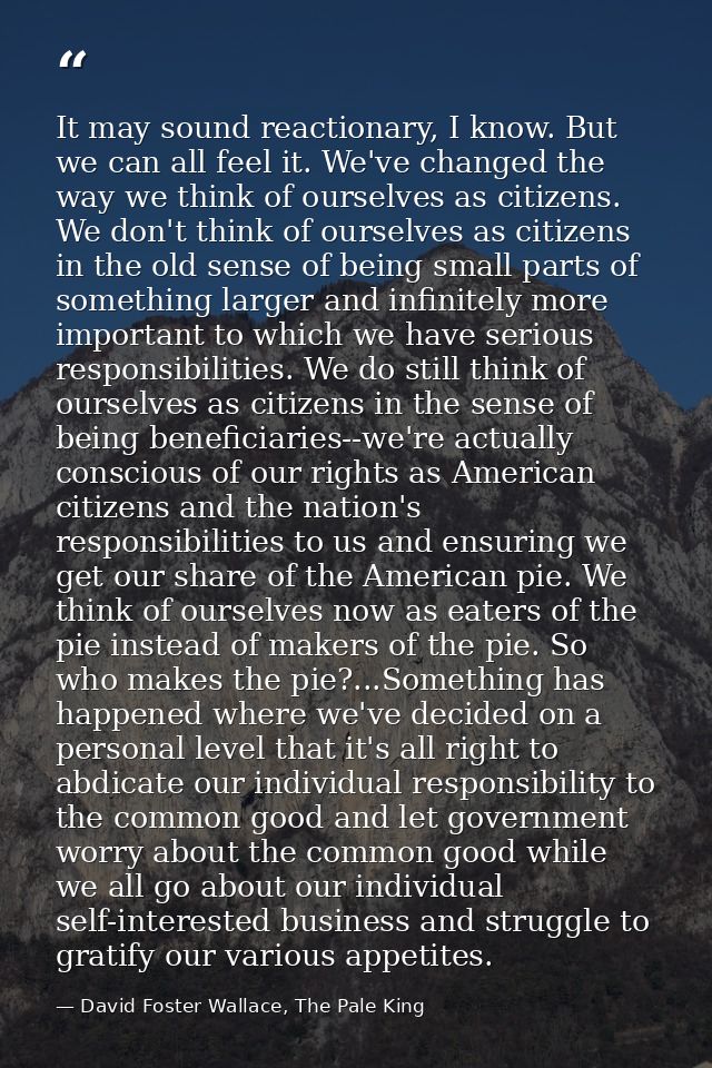 It may sound reactionary, I know. But we can all feel it. We've changed the way we think of ourselves as citizens. We do — David Foster Wallace, The Pale King