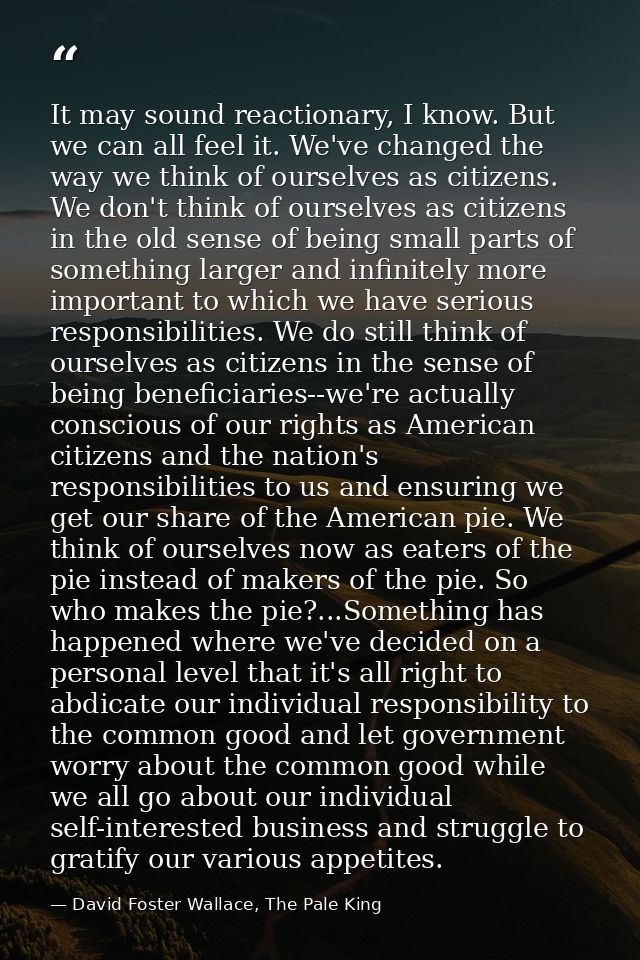 It may sound reactionary, I know. But we can all feel it. We've changed the way we think of ourselves as citizens. We do — David Foster Wallace, The Pale King