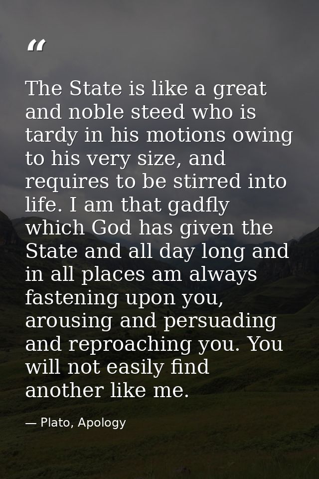 The State is like a great and noble steed who is tardy in his motions owing to his very size, and requires to be stirred — Plato, Apology