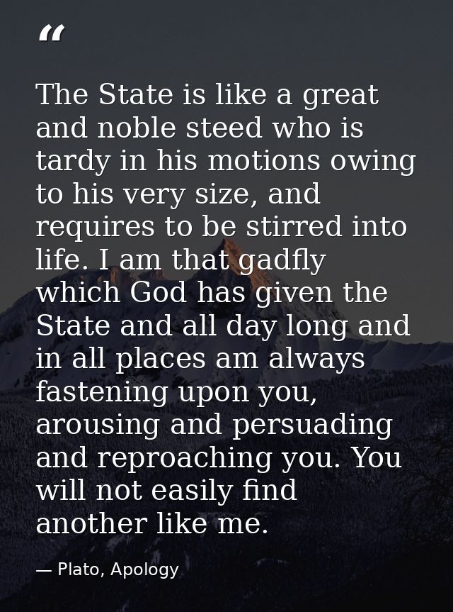 The State is like a great and noble steed who is tardy in his motions owing to his very size, and requires to be stirred — Plato, Apology