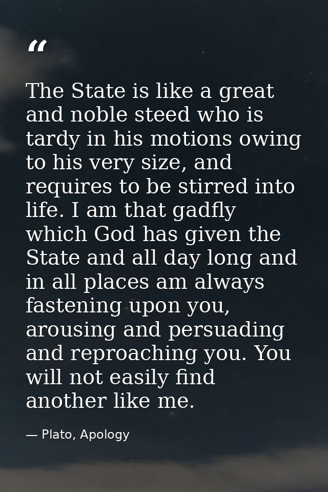 The State is like a great and noble steed who is tardy in his motions owing to his very size, and requires to be stirred — Plato, Apology