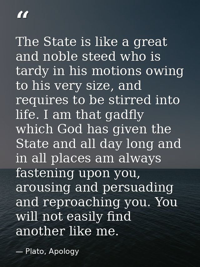 The State is like a great and noble steed who is tardy in his motions owing to his very size, and requires to be stirred — Plato, Apology