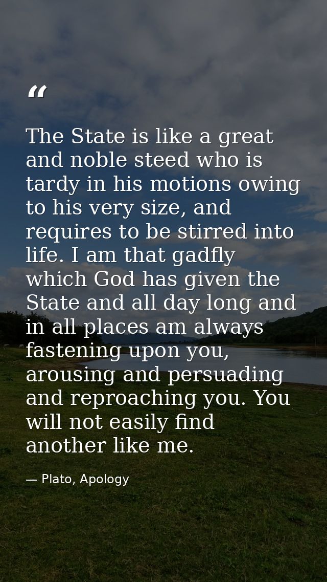 The State is like a great and noble steed who is tardy in his motions owing to his very size, and requires to be stirred — Plato, Apology