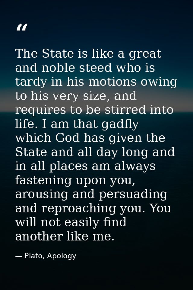 The State is like a great and noble steed who is tardy in his motions owing to his very size, and requires to be stirred — Plato, Apology