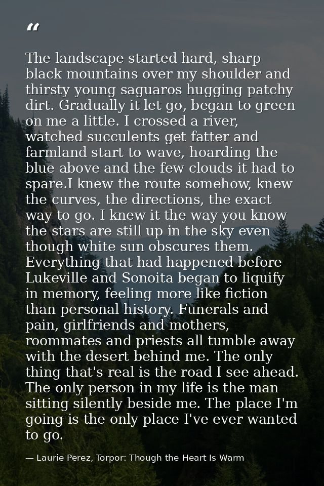 The landscape started hard, sharp black mountains over my shoulder and thirsty young saguaros hugging patchy dirt. Gradu — Laurie Perez, Torpor: Though the Heart Is Warm