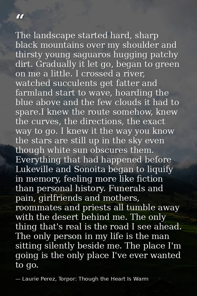 The landscape started hard, sharp black mountains over my shoulder and thirsty young saguaros hugging patchy dirt. Gradu — Laurie Perez, Torpor: Though the Heart Is Warm