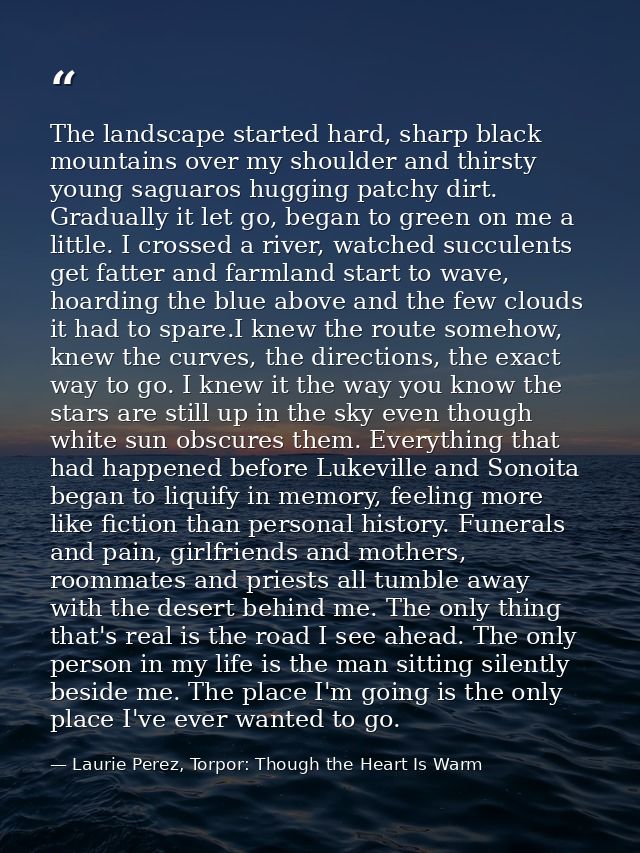The landscape started hard, sharp black mountains over my shoulder and thirsty young saguaros hugging patchy dirt. Gradu — Laurie Perez, Torpor: Though the Heart Is Warm