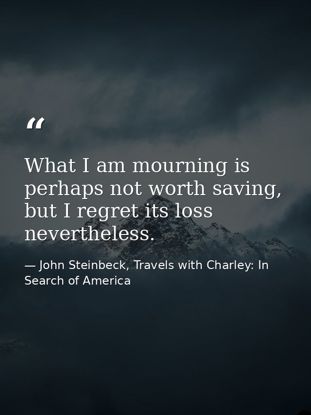 What I am mourning is perhaps not worth saving, but I regret its loss nevertheless. — John Steinbeck, Travels with Charley: In Search of America