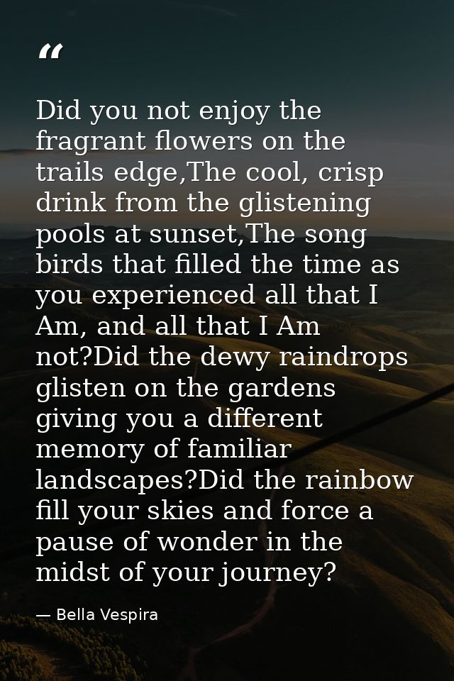 Did you not enjoy the fragrant flowers on the trails edge,The cool, crisp drink from the glistening pools at sunset,The  — Bella Vespira