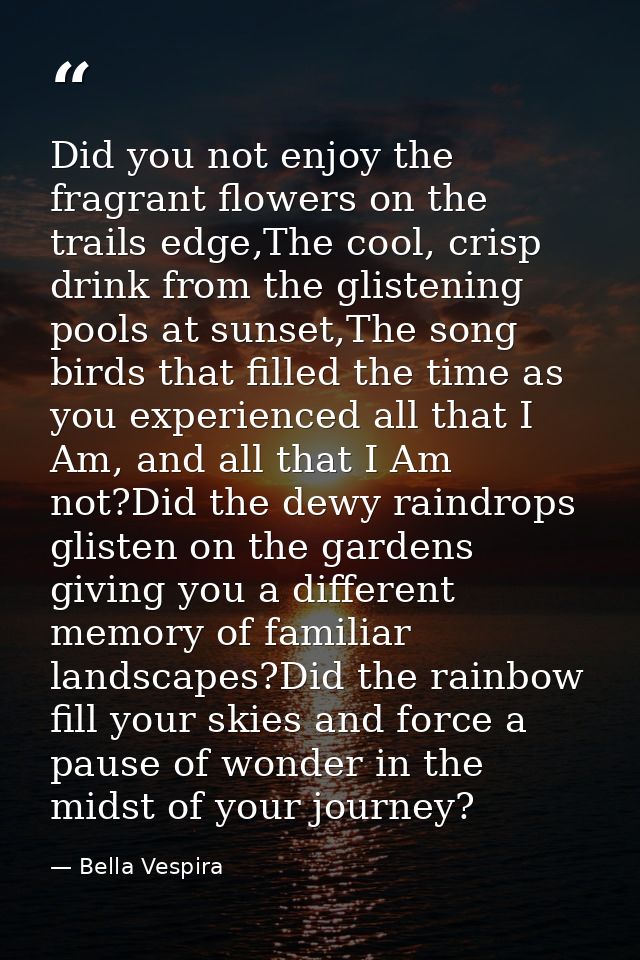 Did you not enjoy the fragrant flowers on the trails edge,The cool, crisp drink from the glistening pools at sunset,The  — Bella Vespira