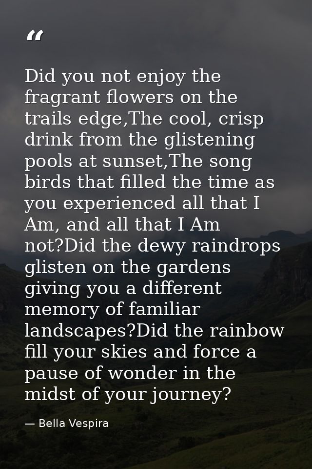 Did you not enjoy the fragrant flowers on the trails edge,The cool, crisp drink from the glistening pools at sunset,The  — Bella Vespira