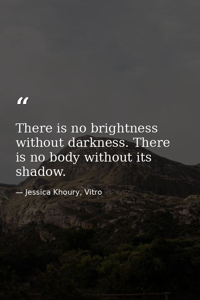 There is no brightness without darkness. There is no body without its shadow. — Jessica Khoury, Vitro