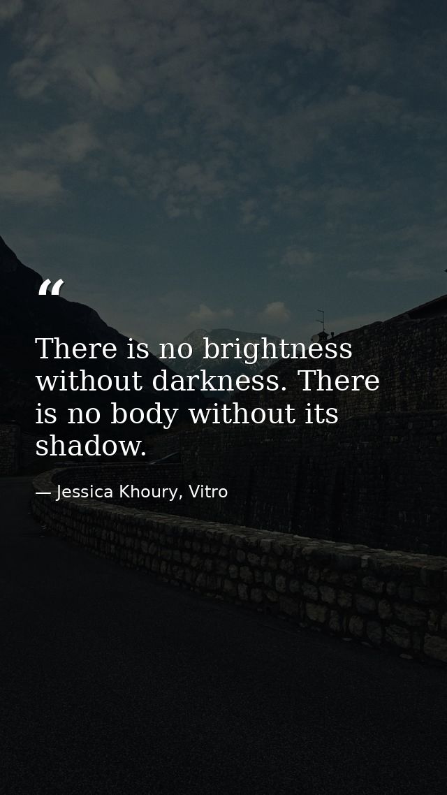 There is no brightness without darkness. There is no body without its shadow. — Jessica Khoury, Vitro