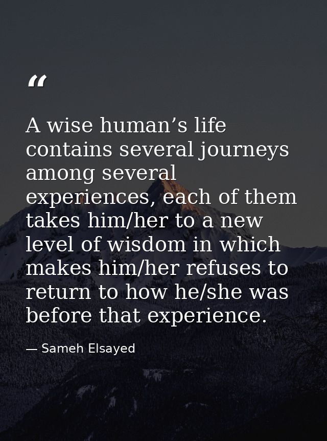A wise human’s life contains several journeys among several experiences, each of them takes him/her to a new level of wi — Sameh Elsayed