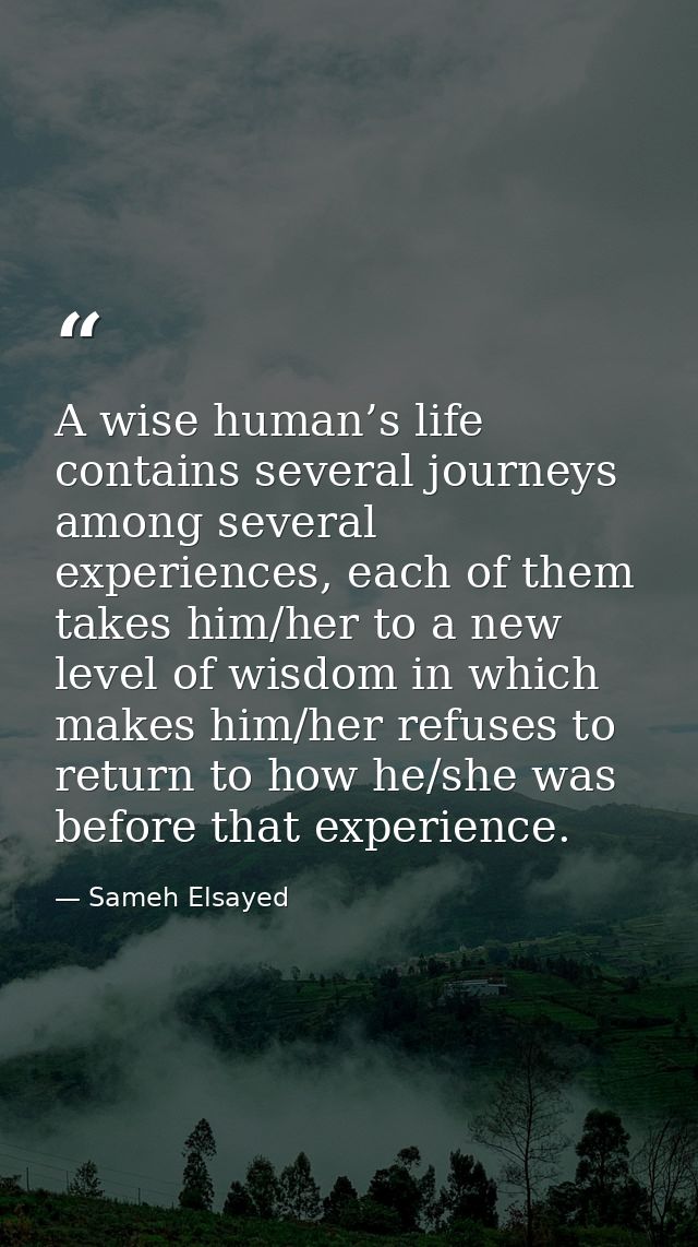 A wise human’s life contains several journeys among several experiences, each of them takes him/her to a new level of wi — Sameh Elsayed