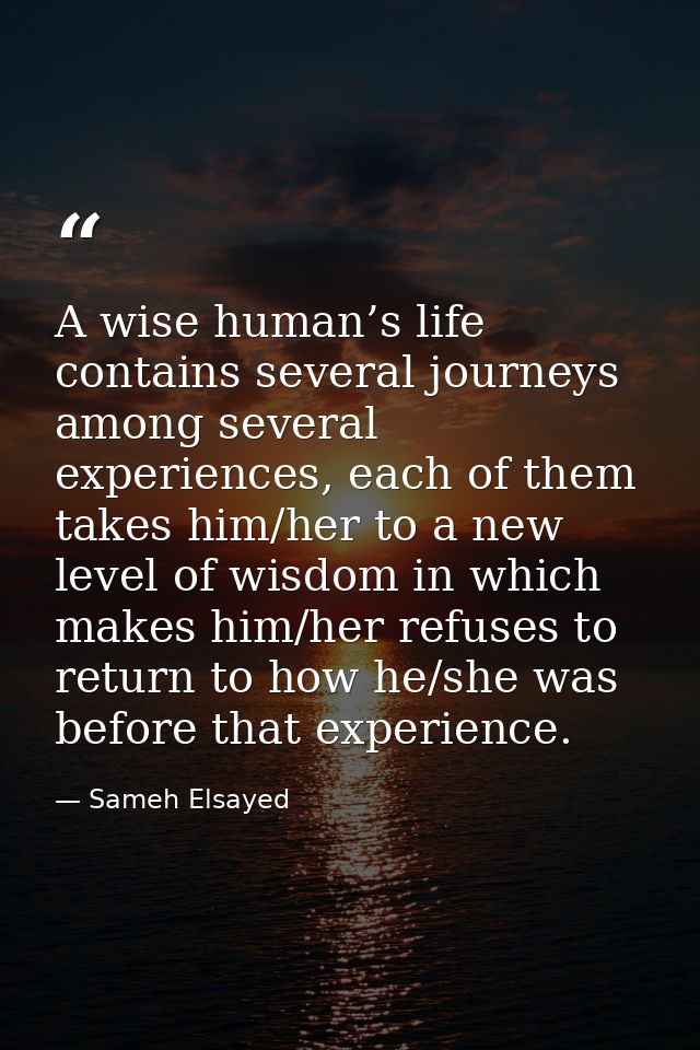 A wise human’s life contains several journeys among several experiences, each of them takes him/her to a new level of wi — Sameh Elsayed