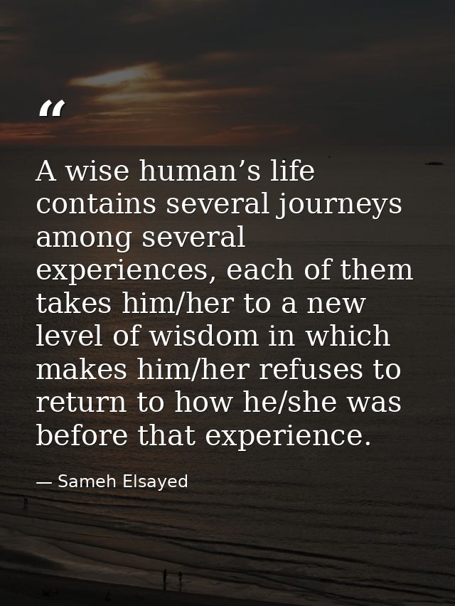 A wise human’s life contains several journeys among several experiences, each of them takes him/her to a new level of wi — Sameh Elsayed