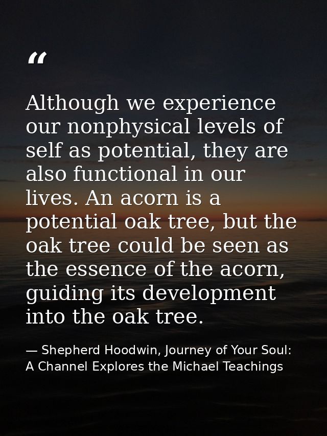 Although we experience our nonphysical levels of self as potential, they are also functional in our lives. An acorn is a — Shepherd Hoodwin, Journey of Your Soul: A Channel Explores the Michael Teachings