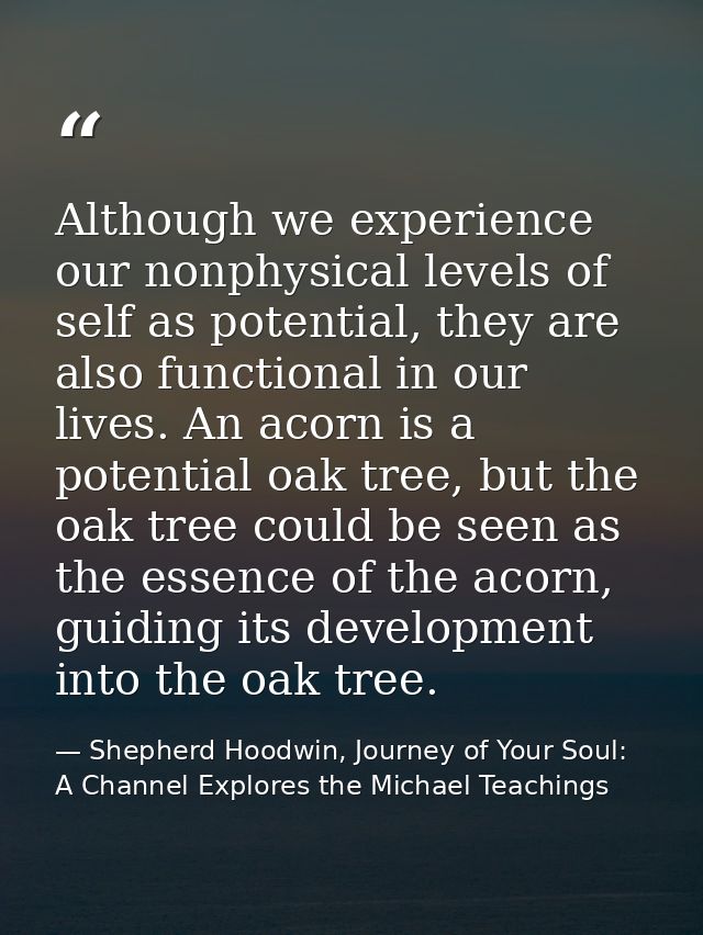 Although we experience our nonphysical levels of self as potential, they are also functional in our lives. An acorn is a — Shepherd Hoodwin, Journey of Your Soul: A Channel Explores the Michael Teachings
