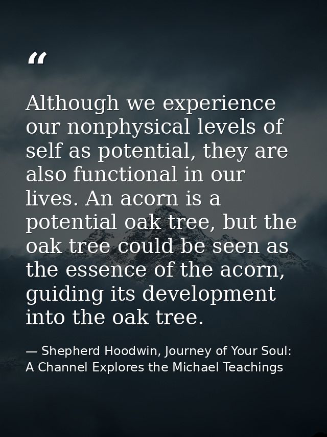 Although we experience our nonphysical levels of self as potential, they are also functional in our lives. An acorn is a — Shepherd Hoodwin, Journey of Your Soul: A Channel Explores the Michael Teachings