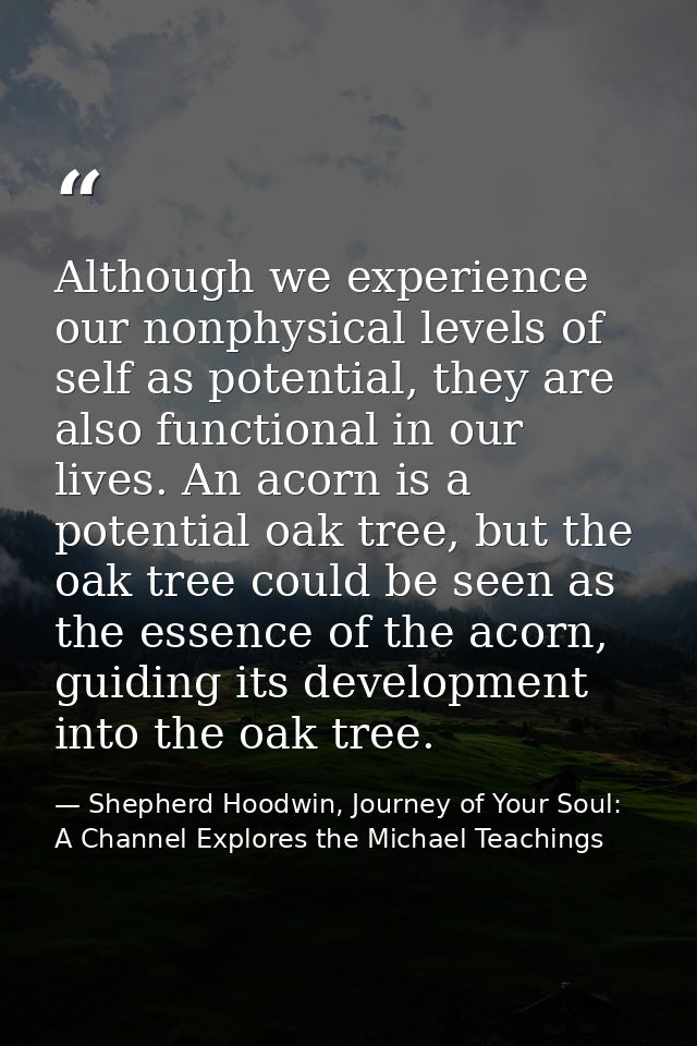 Although we experience our nonphysical levels of self as potential, they are also functional in our lives. An acorn is a — Shepherd Hoodwin, Journey of Your Soul: A Channel Explores the Michael Teachings