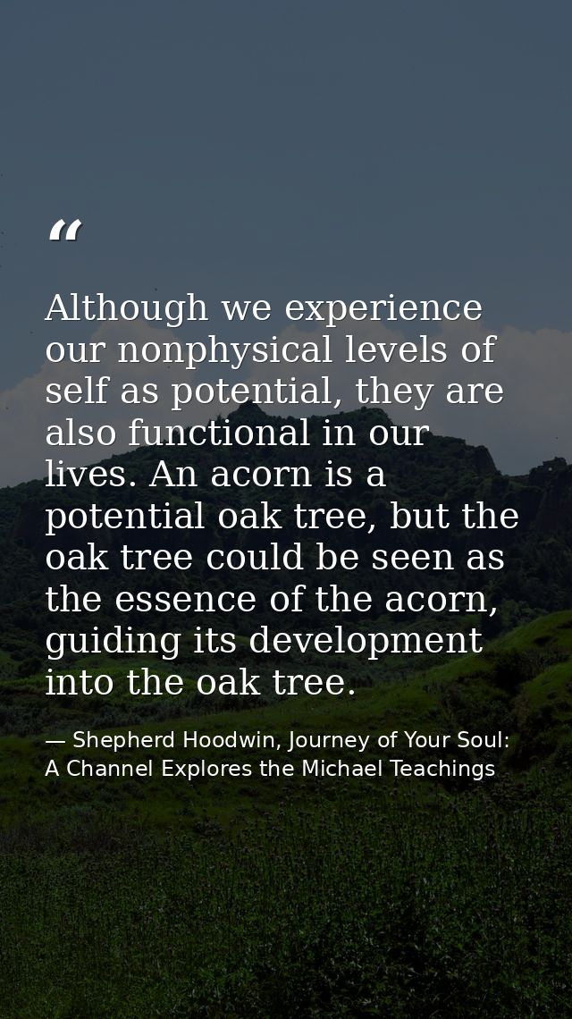 Although we experience our nonphysical levels of self as potential, they are also functional in our lives. An acorn is a — Shepherd Hoodwin, Journey of Your Soul: A Channel Explores the Michael Teachings
