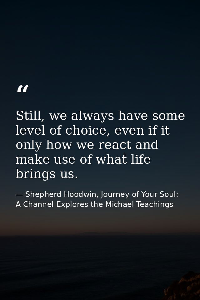 Still, we always have some level of choice, even if it only how we react and make use of what life brings us. — Shepherd Hoodwin, Journey of Your Soul: A Channel Explores the Michael Teachings