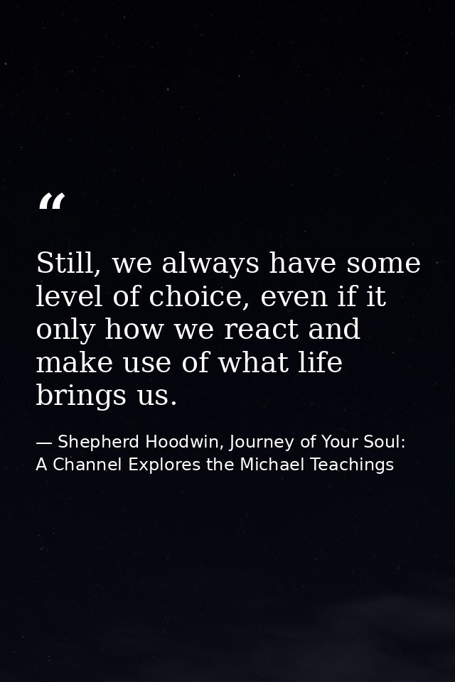 Still, we always have some level of choice, even if it only how we react and make use of what life brings us. — Shepherd Hoodwin, Journey of Your Soul: A Channel Explores the Michael Teachings