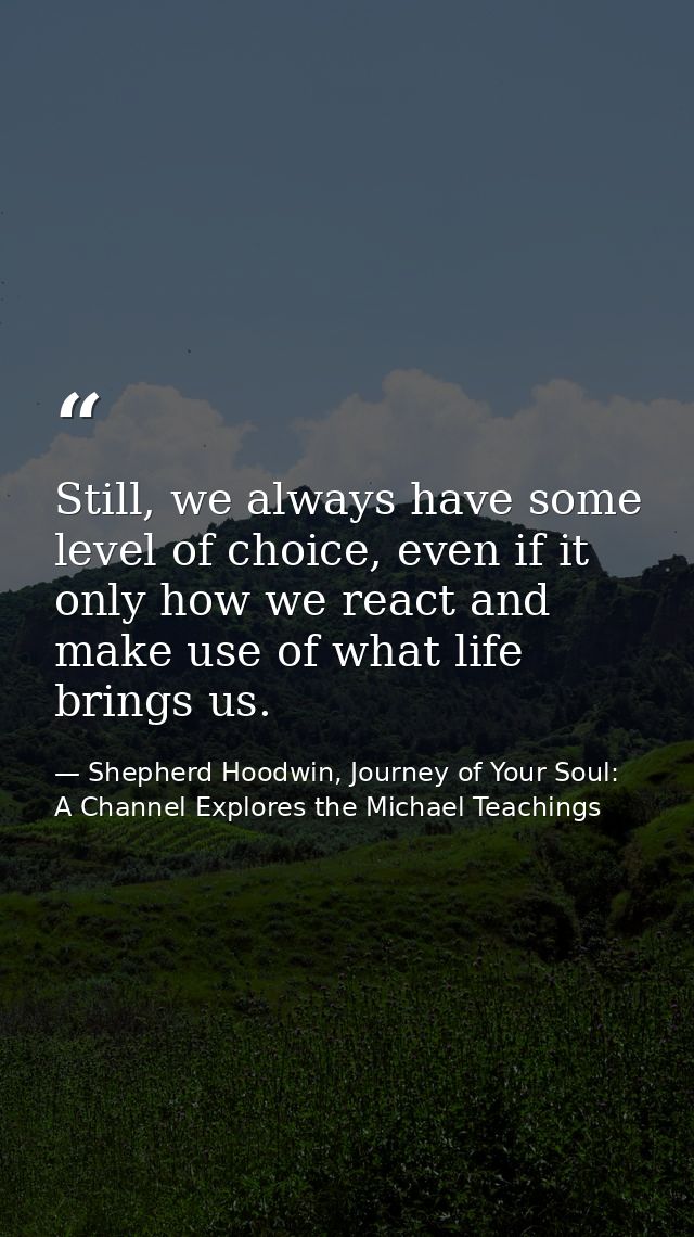 Still, we always have some level of choice, even if it only how we react and make use of what life brings us. — Shepherd Hoodwin, Journey of Your Soul: A Channel Explores the Michael Teachings