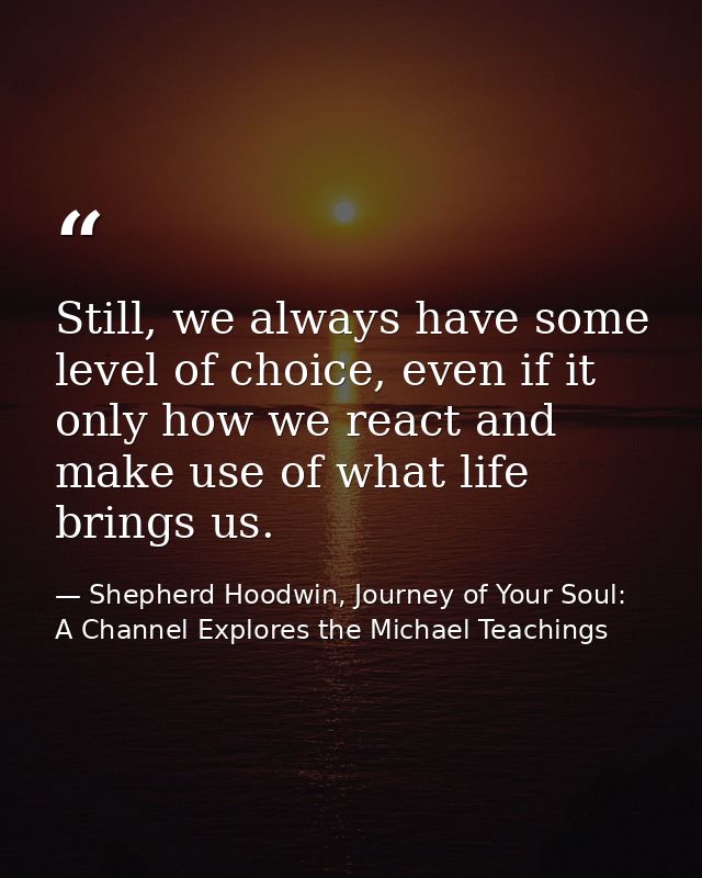 Still, we always have some level of choice, even if it only how we react and make use of what life brings us. — Shepherd Hoodwin, Journey of Your Soul: A Channel Explores the Michael Teachings