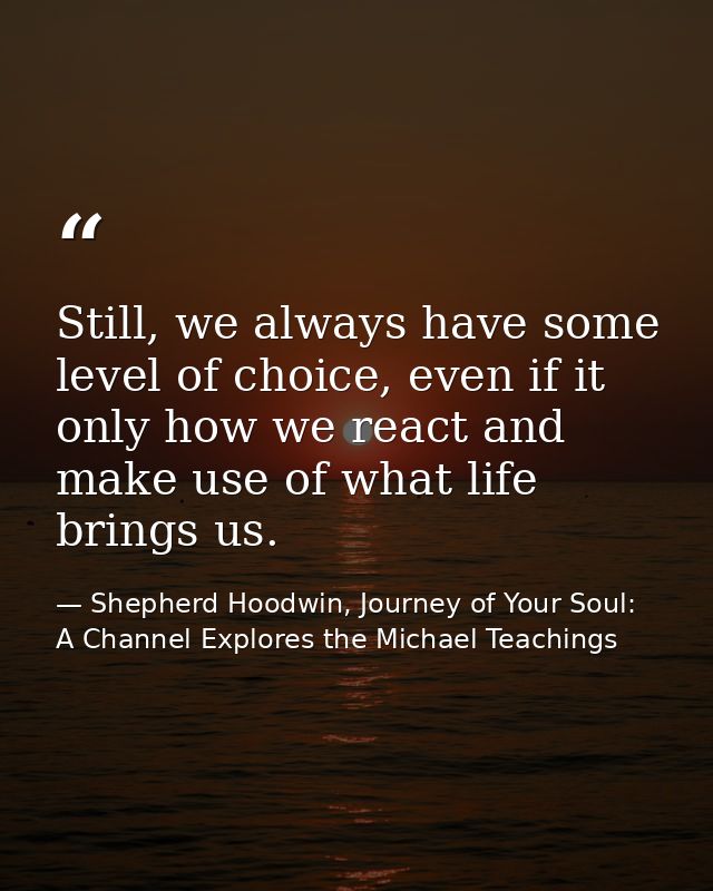 Still, we always have some level of choice, even if it only how we react and make use of what life brings us. — Shepherd Hoodwin, Journey of Your Soul: A Channel Explores the Michael Teachings