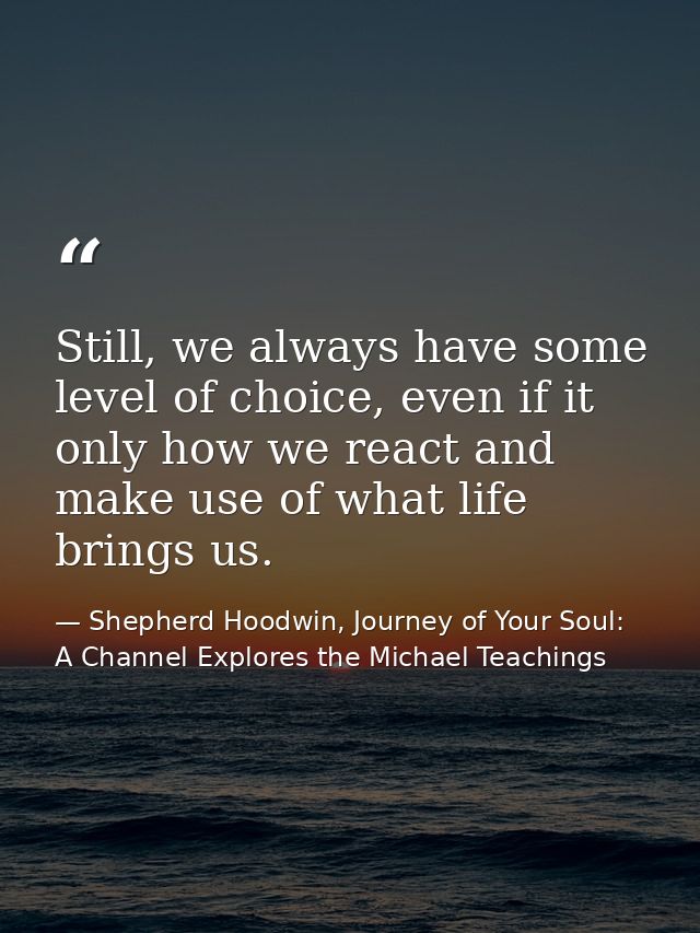 Still, we always have some level of choice, even if it only how we react and make use of what life brings us. — Shepherd Hoodwin, Journey of Your Soul: A Channel Explores the Michael Teachings