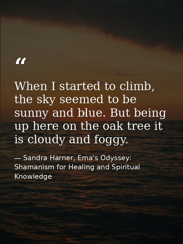 When I started to climb, the sky seemed to be sunny and blue. But being up here on the oak tree it is cloudy and foggy. — Sandra Harner, Ema's Odyssey: Shamanism for Healing and Spiritual Knowledge