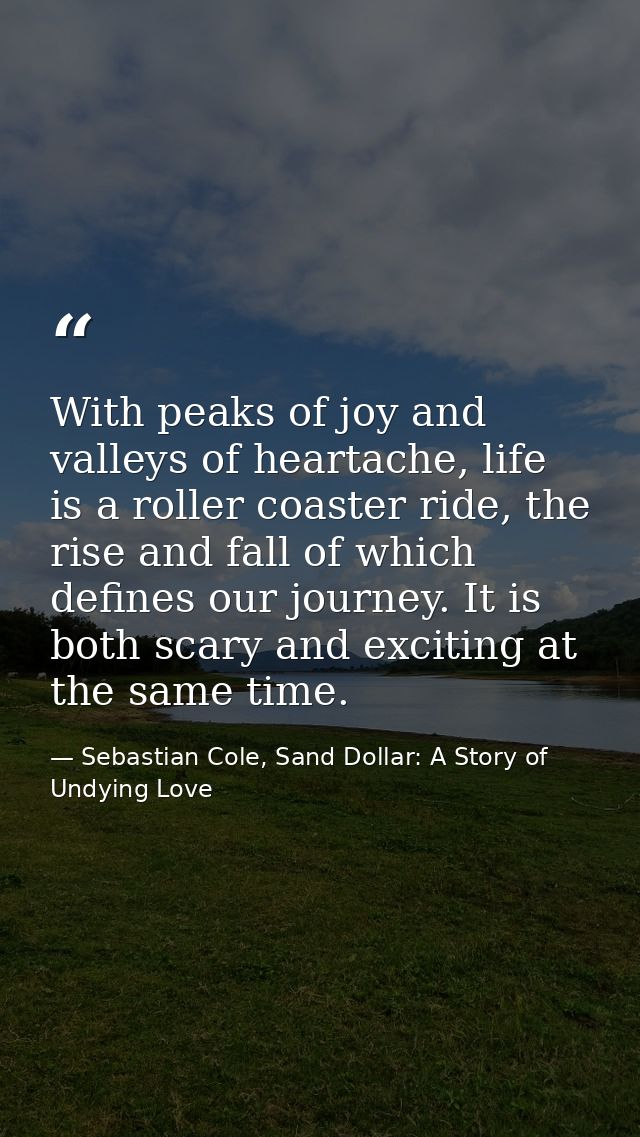 With peaks of joy and valleys of heartache, life is a roller coaster ride, the rise and fall of which defines our journe — Sebastian Cole, Sand Dollar: A Story of Undying Love