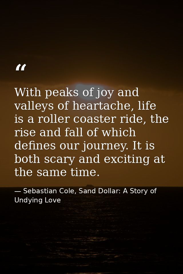 With peaks of joy and valleys of heartache, life is a roller coaster ride, the rise and fall of which defines our journe — Sebastian Cole, Sand Dollar: A Story of Undying Love