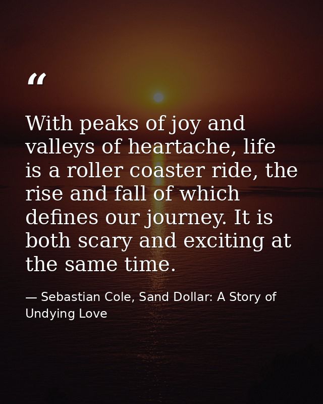 With peaks of joy and valleys of heartache, life is a roller coaster ride, the rise and fall of which defines our journe — Sebastian Cole, Sand Dollar: A Story of Undying Love