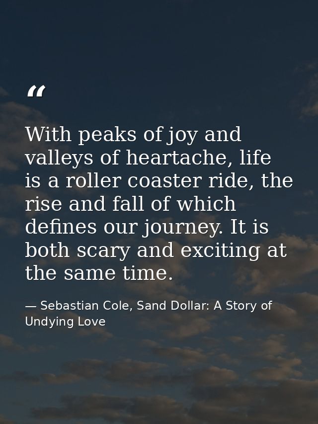 With peaks of joy and valleys of heartache, life is a roller coaster ride, the rise and fall of which defines our journe — Sebastian Cole, Sand Dollar: A Story of Undying Love