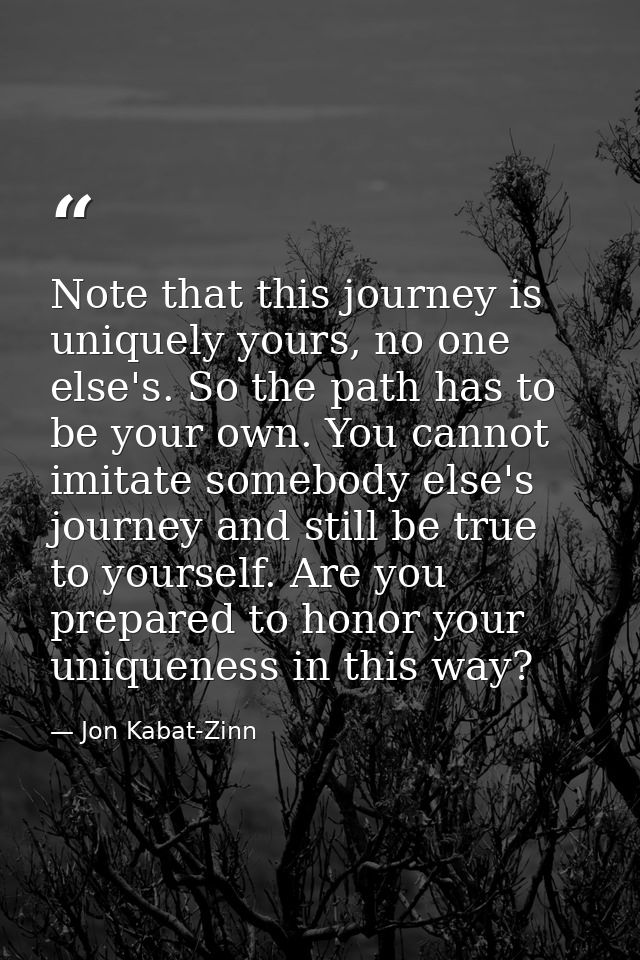 Note that this journey is uniquely yours, no one else's. So the path has to be your own. You cannot imitate somebody els — Jon Kabat-Zinn