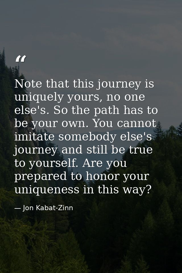 Note that this journey is uniquely yours, no one else's. So the path has to be your own. You cannot imitate somebody els — Jon Kabat-Zinn