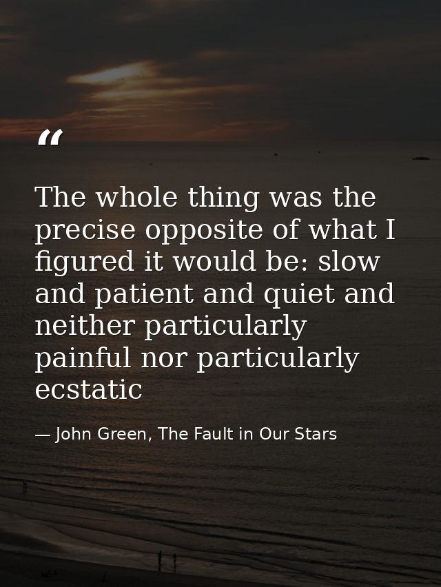 The whole thing was the precise opposite of what I figured it would be: slow and patient and quiet and neither particula — John Green, The Fault in Our Stars